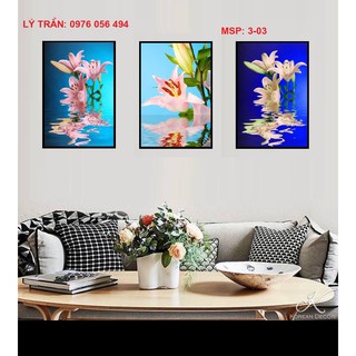 Bộ 3 tranh 40x60
