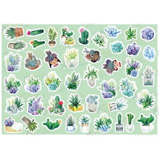 Hộp sticker Watercolor Cactus