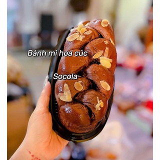 bánh mì hoa cúc socola