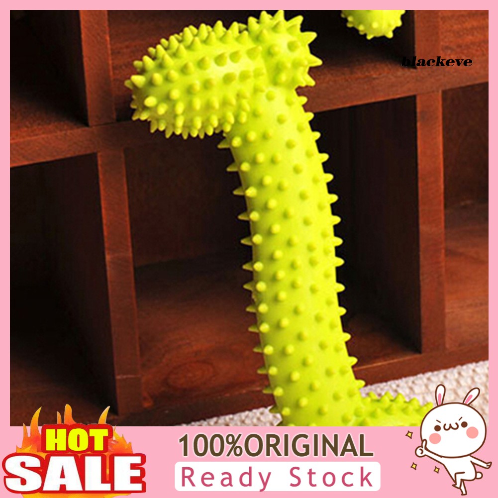 Đồ chơi khúc xương gặm có gai vui nhộn dành cho thú cưng