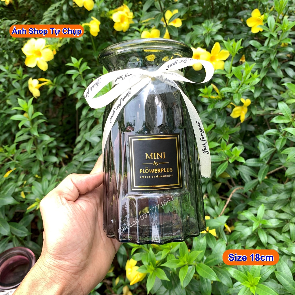 Bình hoa thuỷ tinh múi khế cột nơ trang trí nhà cửa , lọ hoa decor phòng khách phòng ngủ để bàn làm việc