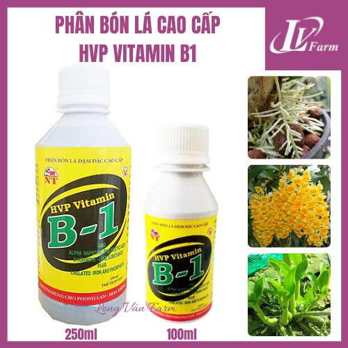 Phân Bón Lá HVP VITAMIN B1 Việt Nam - Các Loại 100ml, 250ml - Dùng Cho Hoa Lan, Cây Cảnh