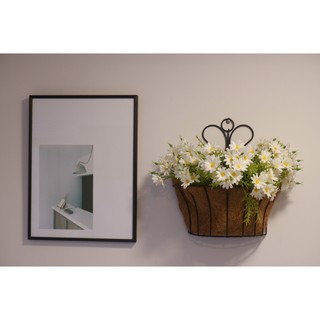 Chậu Xơ Dừa Ốp Tường Trồng Cây, Giỏ Hoa 17.5x31x32 cm - Trồng Cây Cảnh, Hoa Kiểng (Hàng VNXK)
