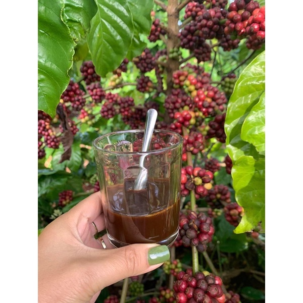 Cà phê nguyên chất robusta Đaklak ngon hậu đậm đà 500gr