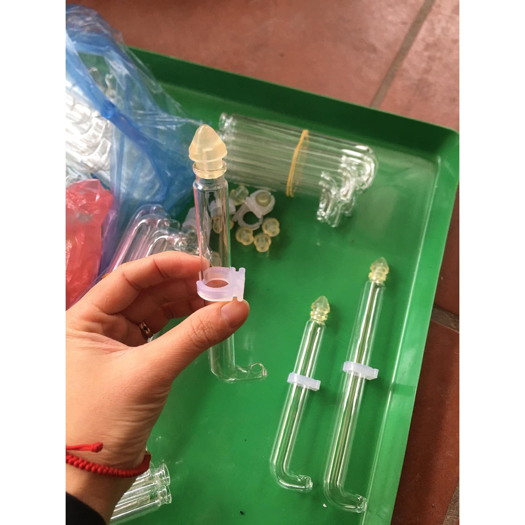 Cóng nước thủy tinh cho chim vành khuyên