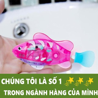 Cá Robo Bể Cá Nhiều Màu (Trang Trí, Bé Chơi Khi tắm) (Màu Sắc Ngẫu Nhiên)