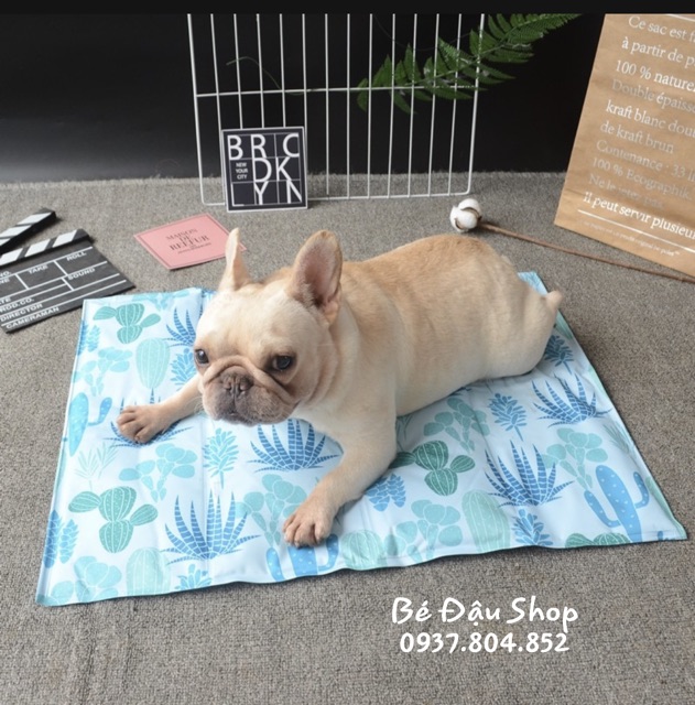 Đệm gel siêu mát cho thú cưng Pet Cooling Mat