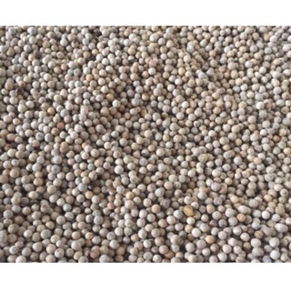 Tiêu trắng/tiêu sọ 500g