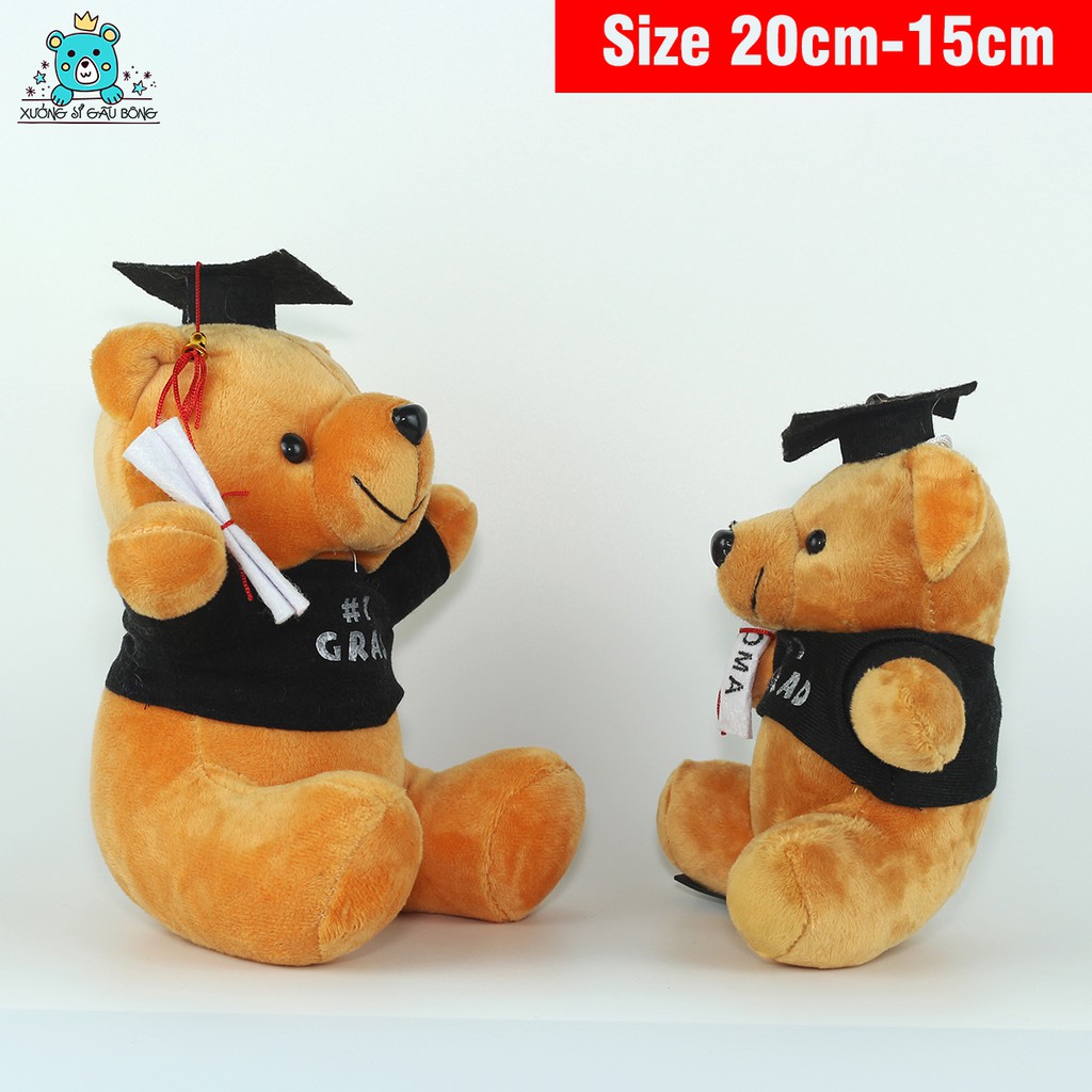 Gấu cử nhân quà tặng tốt nghiệp cho bé nhận in logo theo yêu cầu size 20-15cm