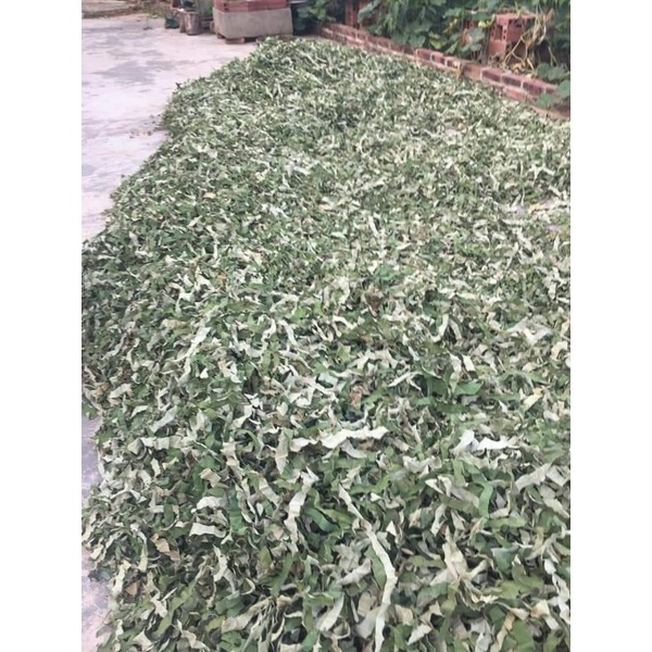 Lá sen khô  hàng thơm xanh(Giá 1kg- 500gr)
