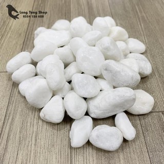 [ Nhiều size ] Đá sỏi trắng trang trí ( chọn size )