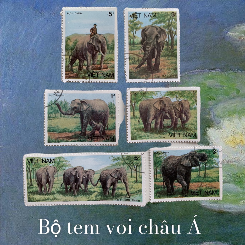 Bộ tem thú voi châu Á 6 con - Tem sưu tầm.