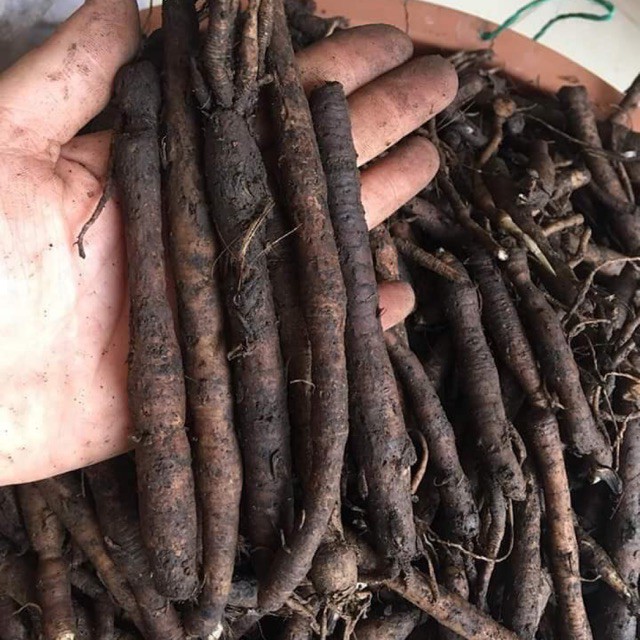 COMBO- Cường dương, đại bổ