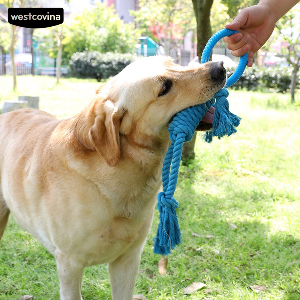 Đồ Chơi Dây Thừng Mềm Thắt Nút Huấn Luyện Tương Tác Cho Cún Cưng