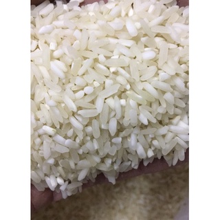 Gạo Quê Xi MOONFARM Loại 1kg Chuẩn Chất Lượng Xanh Sạch Xinh Đến Từ Nông Thôn