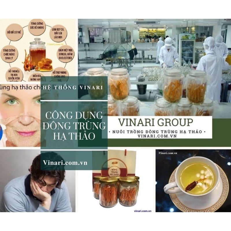 Đông Trùng Hạ Thảo Quả Thể Khô 10gr VINARI | BigBuy360 - bigbuy360.vn