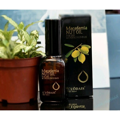 Tinh dầu Oliu dưỡng tóc L’UÔDAIS 50ml | BigBuy360 - bigbuy360.vn