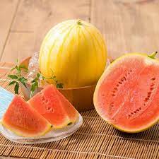 Hạt giống dưa hấu vàng Golden Sun - tỷ lệ nảy mầm 85%