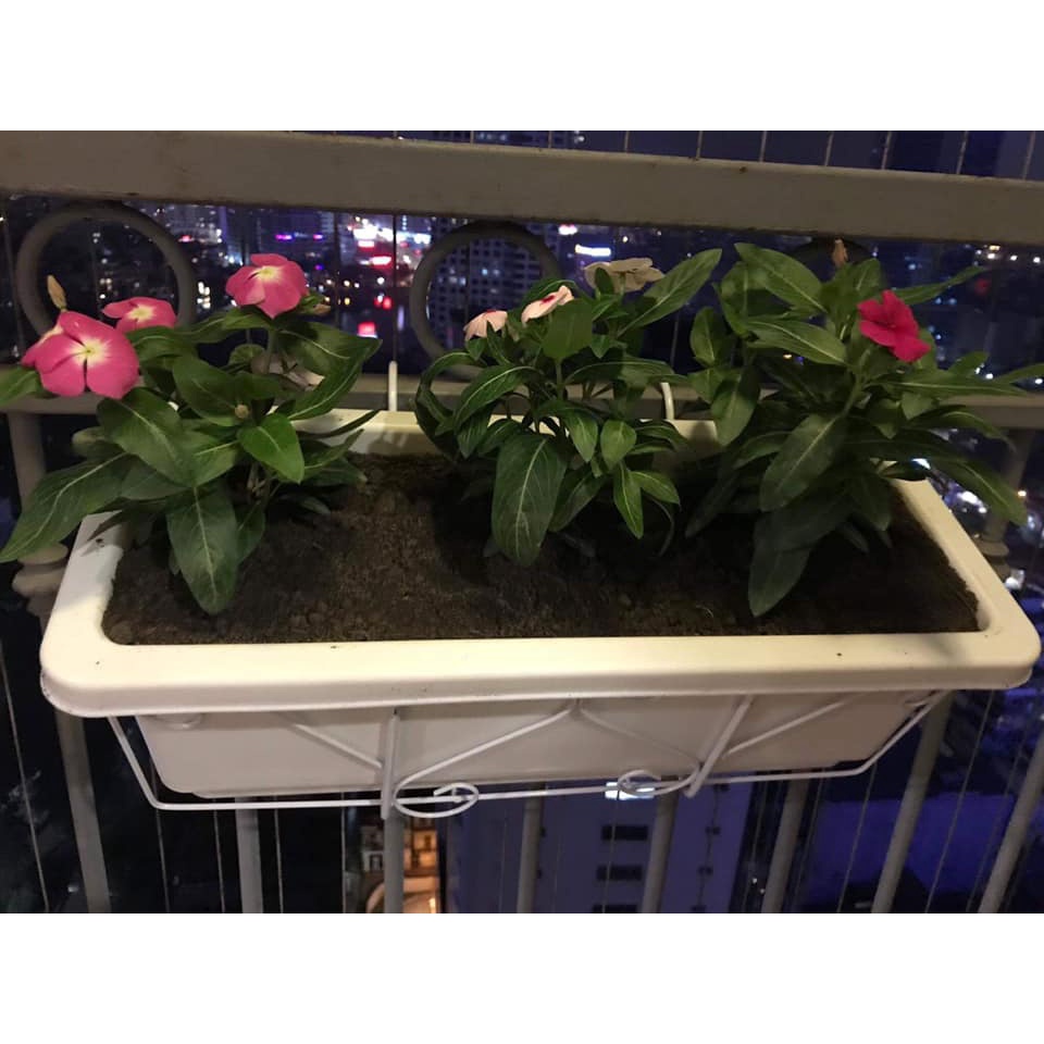 Combo Chậu Nhựa Trồng Rau Trồng Hoa và Khung Sắt Treo Ban Công dài hình chữ nhật, 48*20*16cm trồng rau treo chung cư