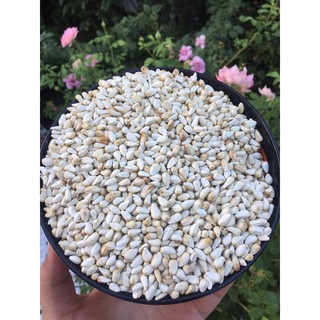kham trắng giàu dinh dưỡng cho chim, vẹt,  gà đá, hamster bị 1kg