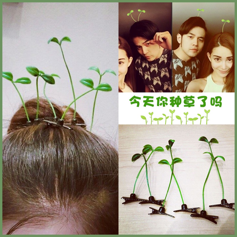 Kẹp Tóc Hình Cỏ Nhỏ Dễ Thương Cho Nam Nữ