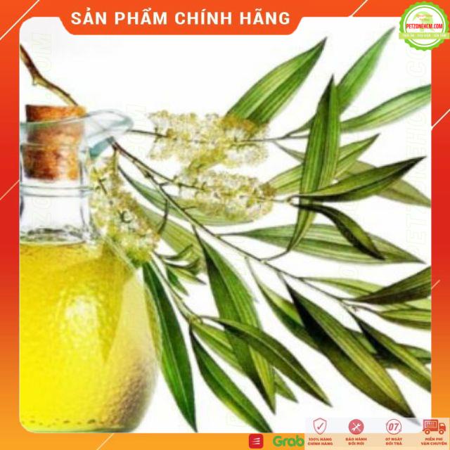 Dầu tràm gió huế FREESHIP  Tinh dầu thơm phòng tràm gió huế 10ml | 50ml | 100ml | nguyên chất