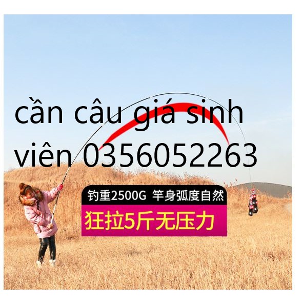 Cần Câu tay 5h câu 3 độ dài DIAO SHI Đài Loan