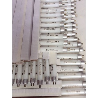 Bóng đèn bắt muỗi và các loại côn trùng An Minh 6w