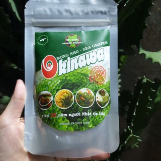 🌿 Rong nho tách nước Okinawa gói 100g - Tặng 1 gói nước xốt mè rang Kewpie 15ml