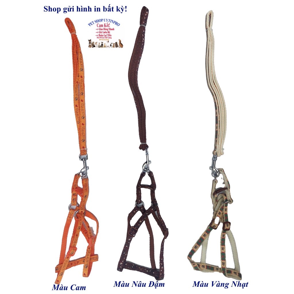 Dây dắt kèm yếm cho Chó Mèo Dưới 5kg Bản rộng 1cm Dài 120cm Zichen In hình bất kỳ Chất liệu dù cao cấp Bền Chắc, An toàn