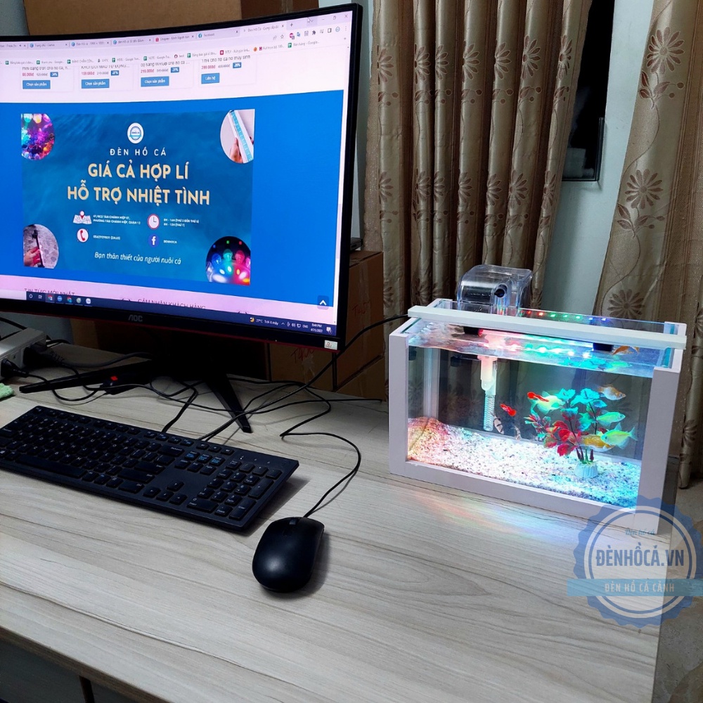 Bể cá mini để bàn COMBO giá rẻ đầy đủ phụ kiện