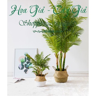 Giỏ mây _ Trồng cây cắm hoa trang trí