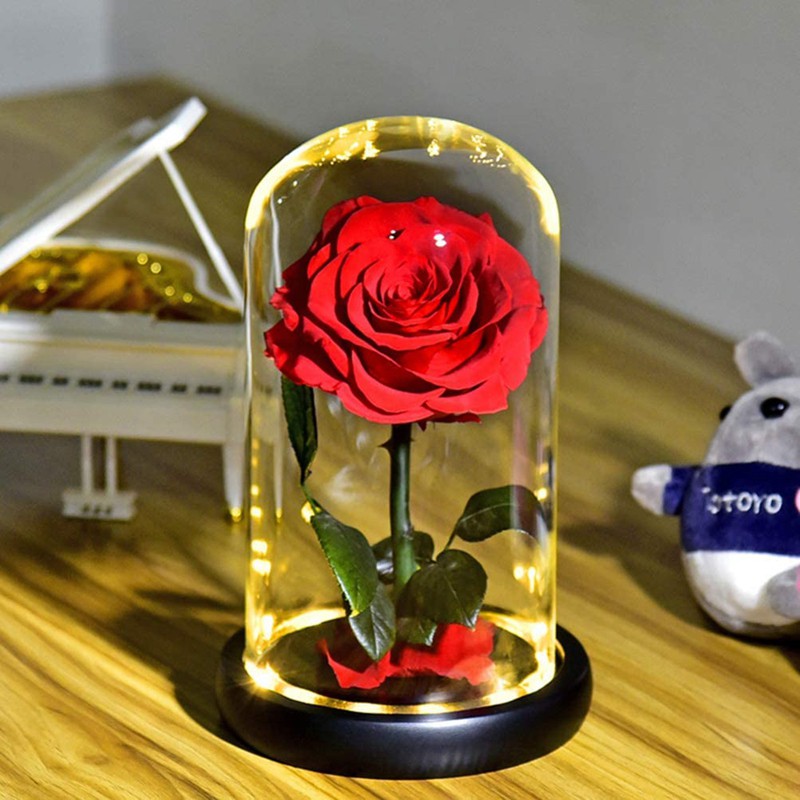 Forever Preserved Flower in Glass Dome Lamp for Gift Box,Pink