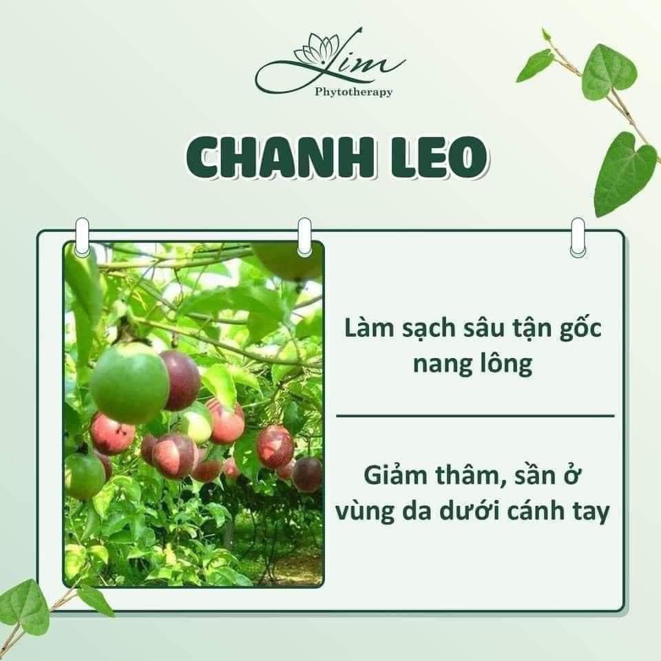 Serum Lá Trầu Không LIMFARM - Ngừa  hôi nách - Chai 5ml