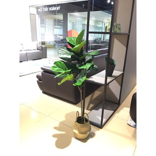 Cây giả, Hoa giả- Cây bàng Singapore giả cao cấp trang trí cao 110cm (2 nhánh)