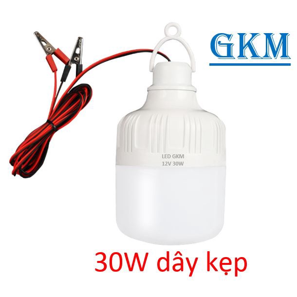 Bóng đèn ắc quy 12v ~85V 30w, loại kẹp bình và loại đuôi xoáy. Bóng đèn kẹp bình ắc quy