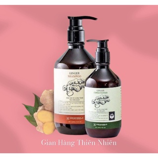 Combo dầu gội xả gừng tươi 500ml-150mlcocayhoala