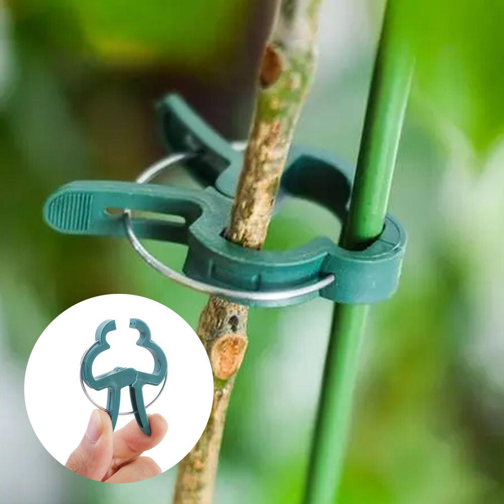 TAYLOR1 Set 10 / 20 Kẹp Nhựa Cố Định Cành Cây