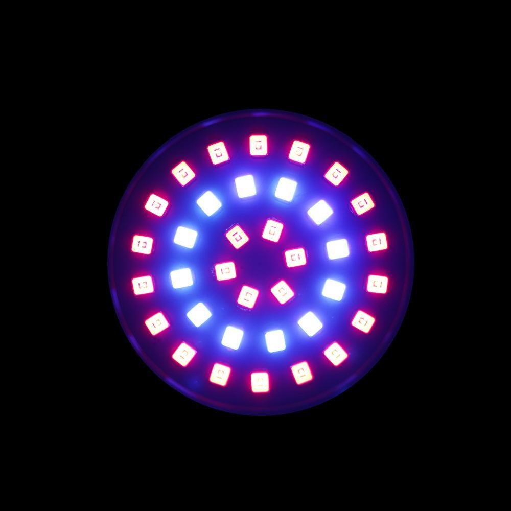 Đèn Led E27 / GU10 / MR16 36 / 54 / 72 Bóng Chuyên Dụng Cho Bể Cá