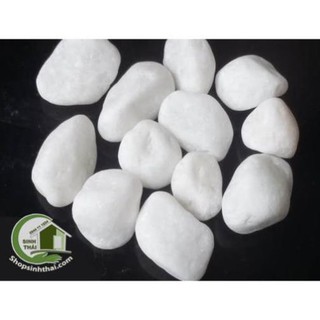 1kg đá sỏi màu trắng lớn - đá  trang trí trồng cây - trang trí bể cá - sân vườn
