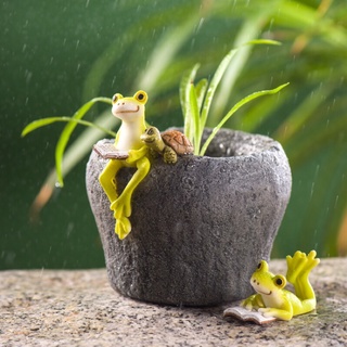 Chậu trồng cây siêu đẹp