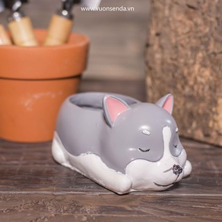Chậu chó xám (nhựa cứng) - Vườn sen đá