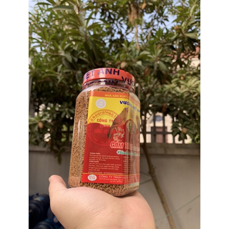 CÁM VƯƠNG VIỆT ANH HOẠ MI