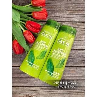 Dầu gội Garnier Fructis combo
