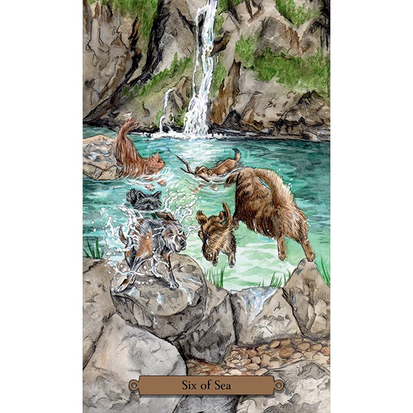 Bộ Bài Magical Dogs Tarot