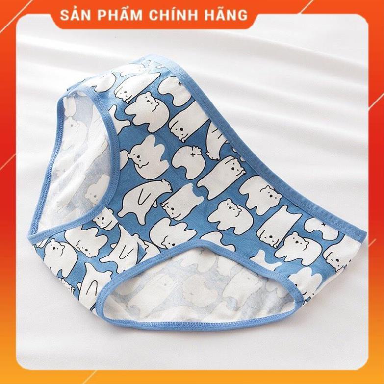 Quần Lót Nữ Dễ Thương Quần Lót Nữ Gấu Xanh Kháng Khuẩn 227