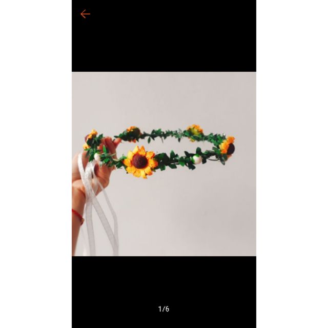 Combo 24v 6 hoa 7 nụ
