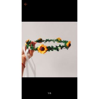 Combo 24v 6 hoa 7 nụ