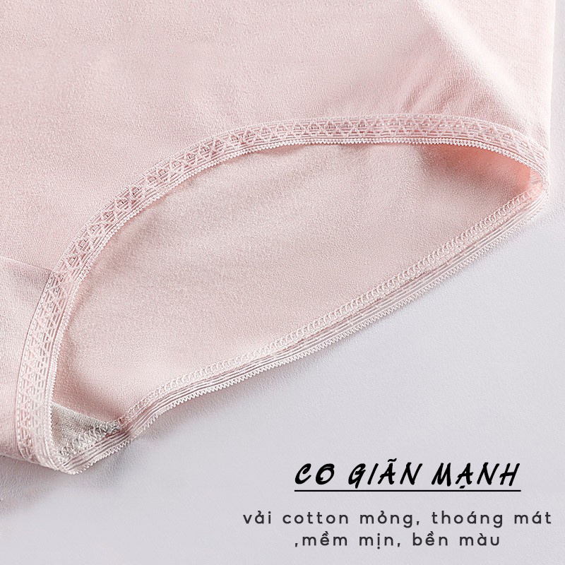 Quần lót nữ cotton kháng khuẩn cao cấp bigsize AMYRA cạp ren lưới y tế thoáng mát mềm mịn ql019