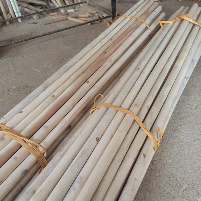 Combo 10 thanh phi 3, 10 thanh phi 4 dài 1m2